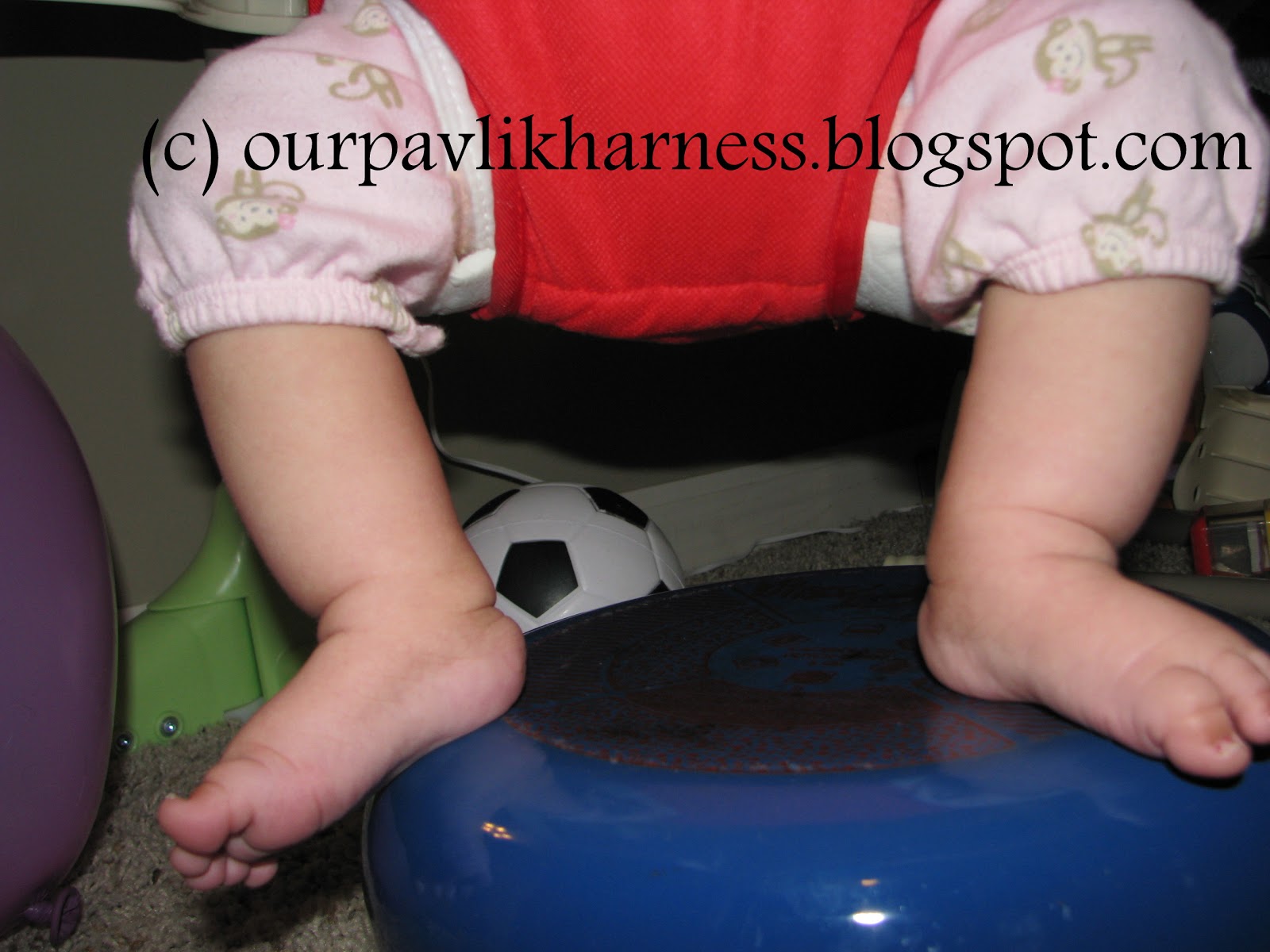 Our Pavlik Harness and journey with Hip Dysplasia August 2012