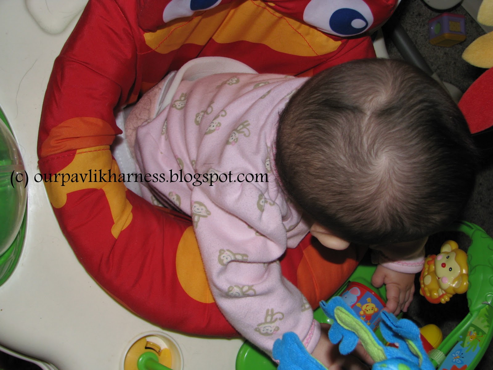 Our Pavlik Harness and journey with Hip Dysplasia August 2012