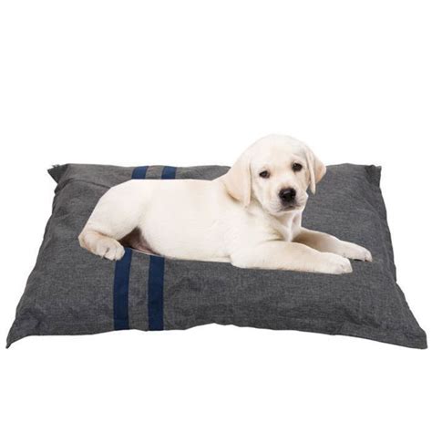 Coussin Chien Très Solide