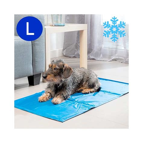 Tapis Rafraichissant Chien Pas&nbsp;Cher