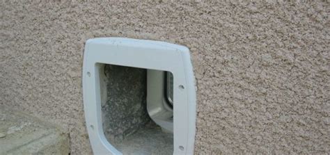 Chatiere Electronique Murale